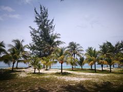 -东姑阿都拉曼海洋公园