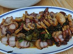 -滇铺子·云南特色菜·第九届野生菌美食节(东风东路c86店)