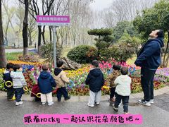 -惠洛克国际儿童之家(绿博园中心)