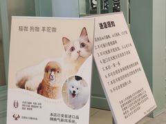 -安格丽娜·狗咖·猫咖羊驼咖(春熙路百盛商场店)