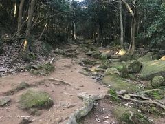 -普陀山慧济禅寺