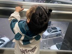 -星城之眼摩天轮