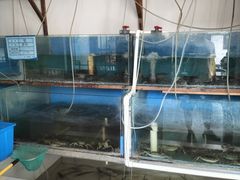 -小陆莲花蟹园农家乐(莲花岛店)