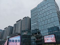 -合景·悠方(成都店)