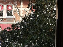 -隐溪茶馆(静安寺店)