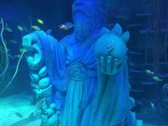 -沈阳海洋探索中心