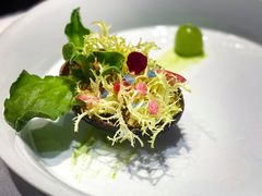 -叶叶菩提·晋福宫