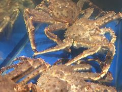 -綱元·海鲜豆捞(明州里店)