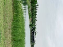-桂溪生态公园