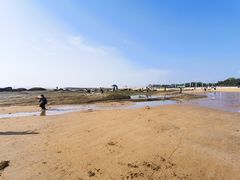 -日照灯塔风景区