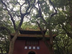 -普陀山风景名胜区-法雨禅寺