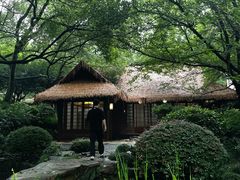 -中国茶叶博物馆(双峰馆区)