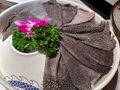 -小龙坎火锅(世纪城店)