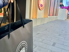-Canada Goose加拿大鹅(北京三里屯太古里店)