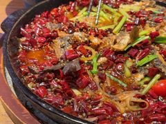 -老板恋上鱼(恒隆广场店)