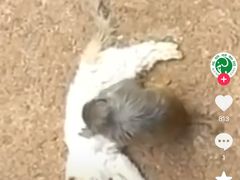 -昆明动物园