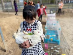 -前小桔亲子创意农场·草莓采摘·露营烧烤