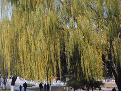 -汉长安城未央宫国家考古遗址公园