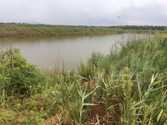 日照海滨国家森林公园-日照海滨国家森林公园