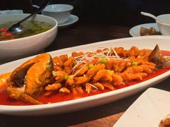 -陈麻婆豆腐(旗舰店)