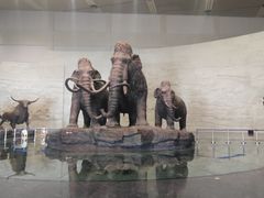 -大庆市博物馆