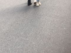 -鹿港小镇(霄云店)