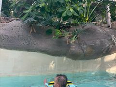 -杭州开元森泊度假乐园