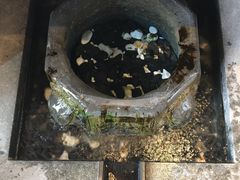 -泉畔人家·老济南经典鲁菜(大明湖店)
