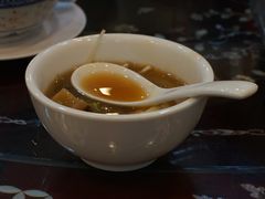 -大中鱼翅 Taitong Shark Fin