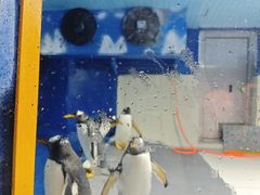 -重庆欢乐海底世界