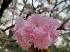 -花溪公园