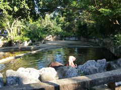 -清迈夜间动物园