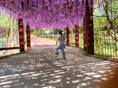 -西安汉城湖景区