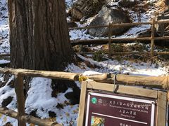 -北京上方山国家森林公园