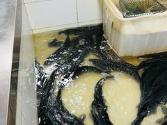 -都江堰石锅鱼