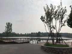 -东郊湿地公园