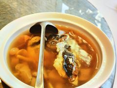 -谭厨中山传家菜.乳鸽.脆鲩鱼(华强北中航城店)
