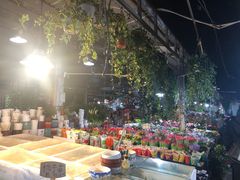 -曲阳花鸟市场(曲阳路店)
