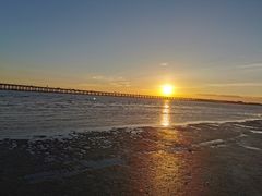 -宝安西湾红树林湿地公园