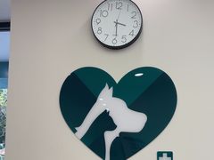 -瑞派康怡24h宠物医院·犬猫医疗中心·微创绝育(瑞景分院)
