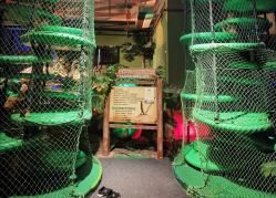 -恐龙探索乐园(磁器口店)