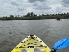 -春花秋色城市公园