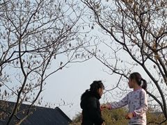 -堤角公园