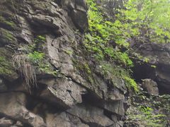 -藏龙百瀑风景区