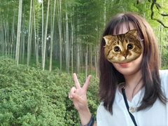 -杭州黄龙洞