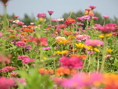 -长春世界雕塑园冰雪艺术天地