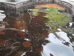 -碧水湾温泉
