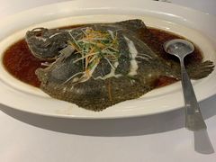 -丰收日(五角场店)