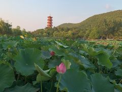 -云龙湖旅游景区