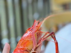 -厨房好味(滨江店)